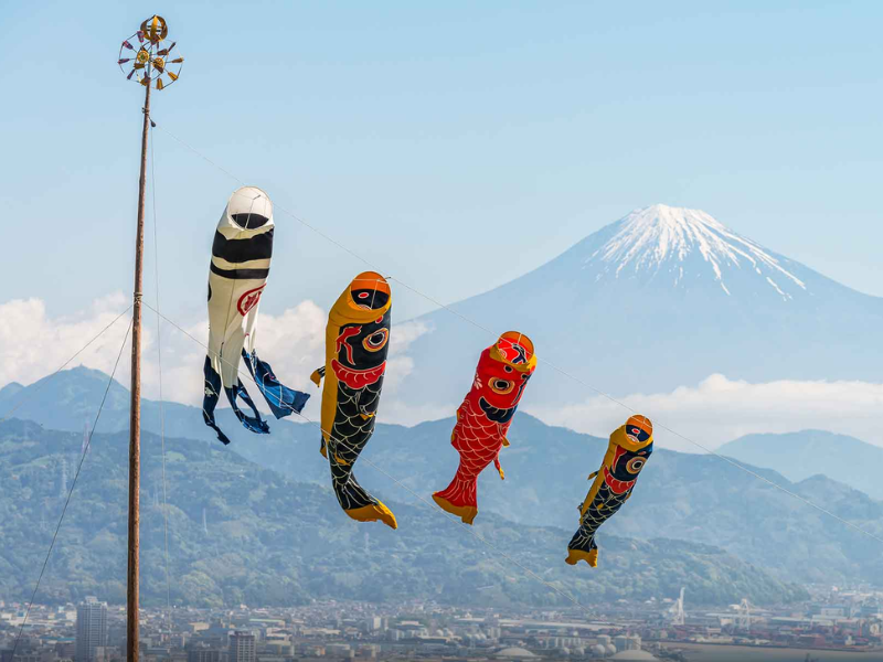Koinobori - cờ cá chép Koi còn là biểu tượng trong ngày tết thiếu nhi Nhật Bản